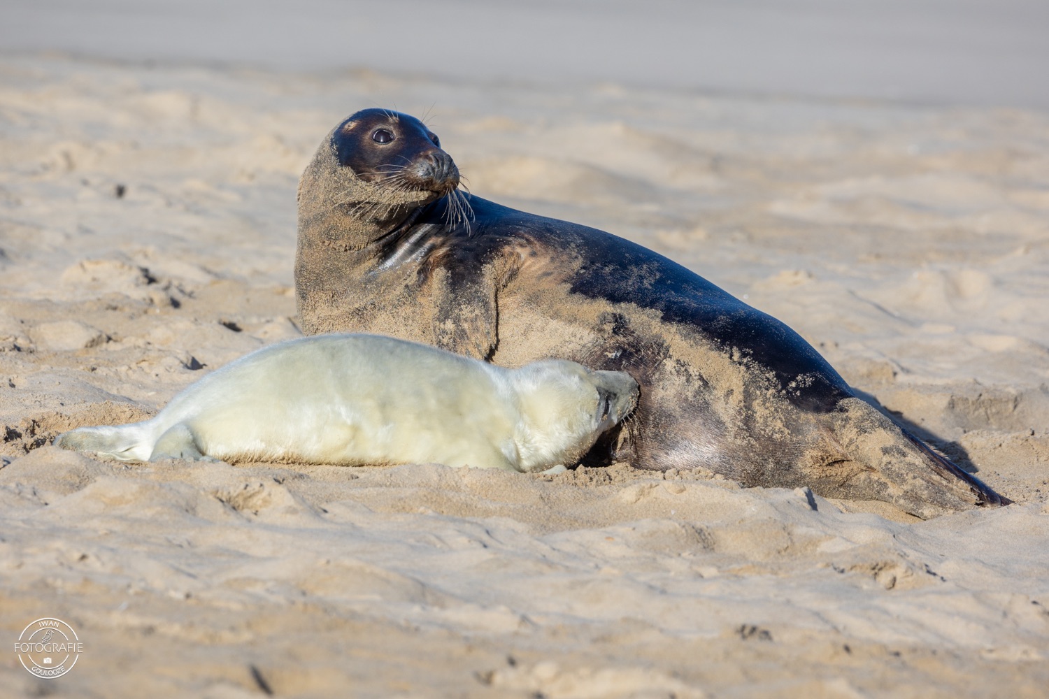 08 januari 2023 143210 1R2A1328